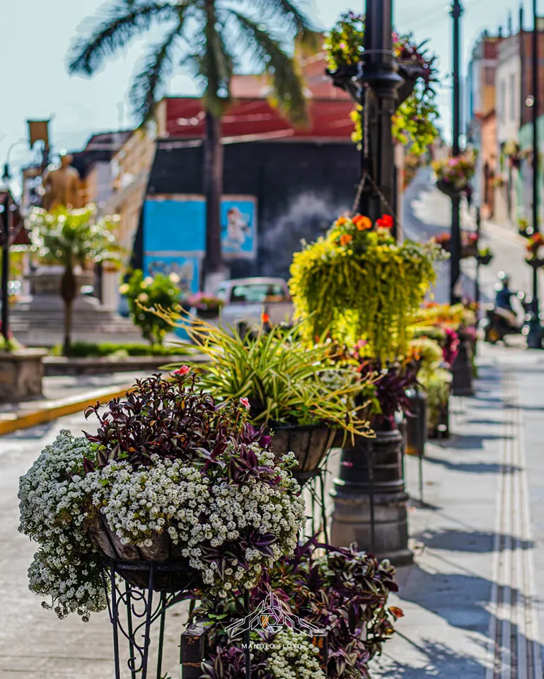 Avenida Hidalgo - Calles emblemáticas en Atlixco